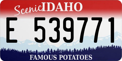 ID license plate E539771