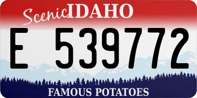 ID license plate E539772