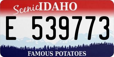 ID license plate E539773