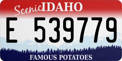 ID license plate E539779