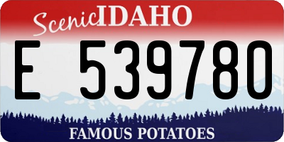 ID license plate E539780