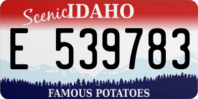 ID license plate E539783