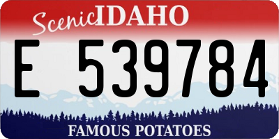 ID license plate E539784