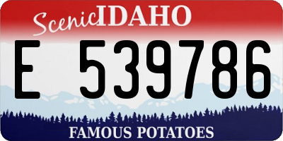 ID license plate E539786