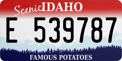 ID license plate E539787