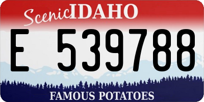 ID license plate E539788