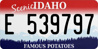 ID license plate E539797