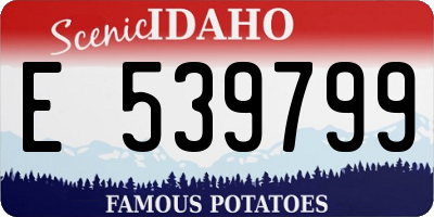 ID license plate E539799