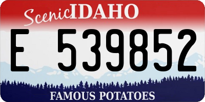ID license plate E539852