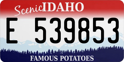 ID license plate E539853