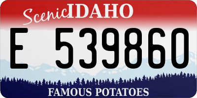 ID license plate E539860