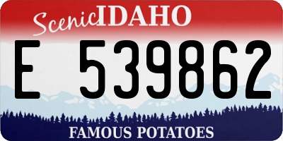 ID license plate E539862