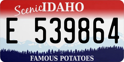 ID license plate E539864