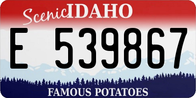 ID license plate E539867