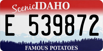 ID license plate E539872