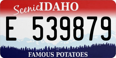 ID license plate E539879