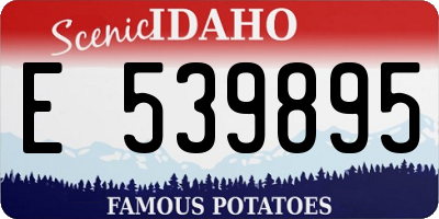 ID license plate E539895