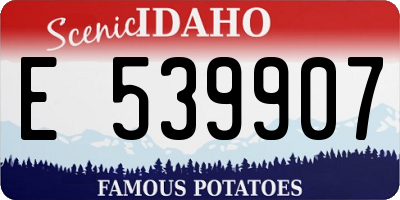 ID license plate E539907