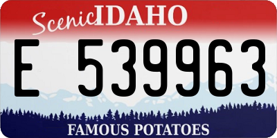 ID license plate E539963