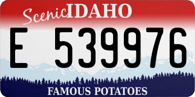 ID license plate E539976