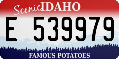 ID license plate E539979