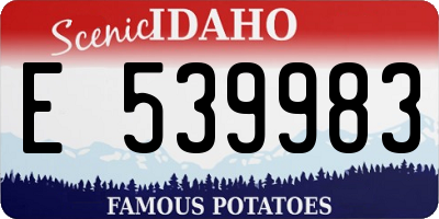 ID license plate E539983