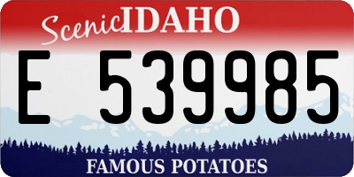 ID license plate E539985