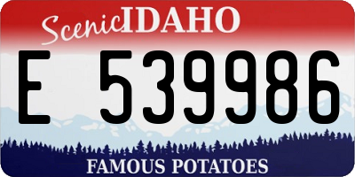 ID license plate E539986