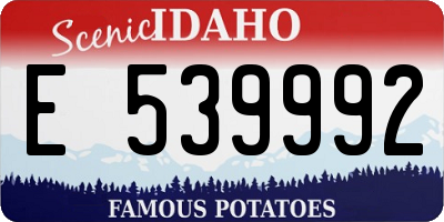 ID license plate E539992
