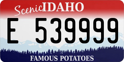 ID license plate E539999