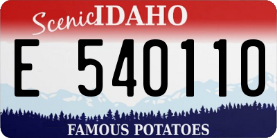 ID license plate E540110