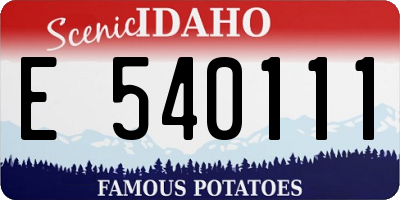 ID license plate E540111