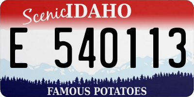 ID license plate E540113