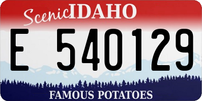 ID license plate E540129