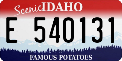 ID license plate E540131