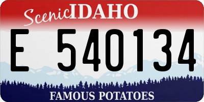 ID license plate E540134