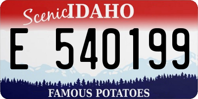ID license plate E540199