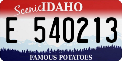 ID license plate E540213