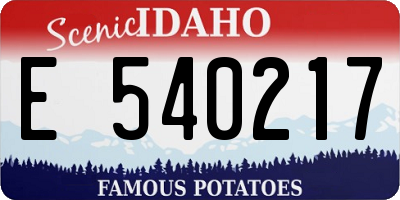 ID license plate E540217