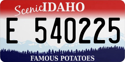 ID license plate E540225
