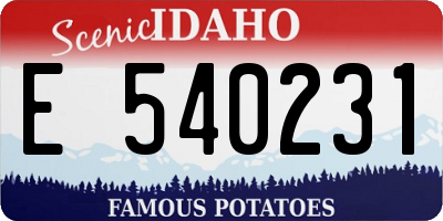 ID license plate E540231