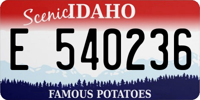 ID license plate E540236