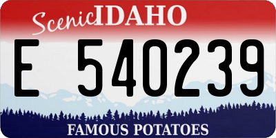 ID license plate E540239