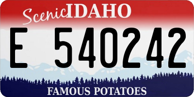 ID license plate E540242