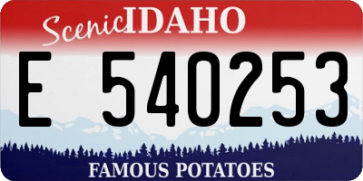 ID license plate E540253