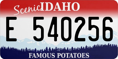 ID license plate E540256