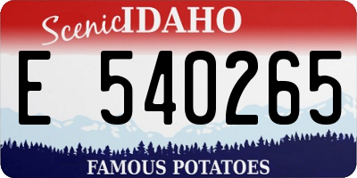 ID license plate E540265