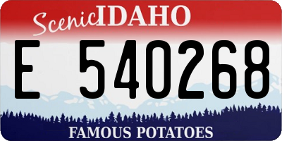 ID license plate E540268
