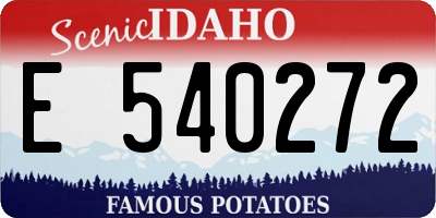 ID license plate E540272