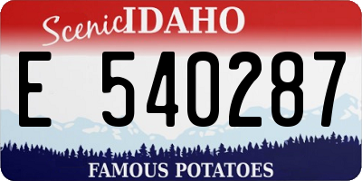 ID license plate E540287